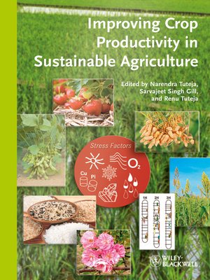 cover image of Improving Crop Productivity in Sustainable Agriculture